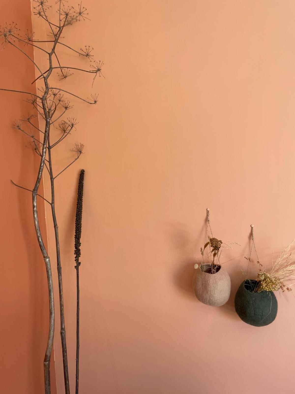 Les Petites Maisons Sotta Buitenkant foto